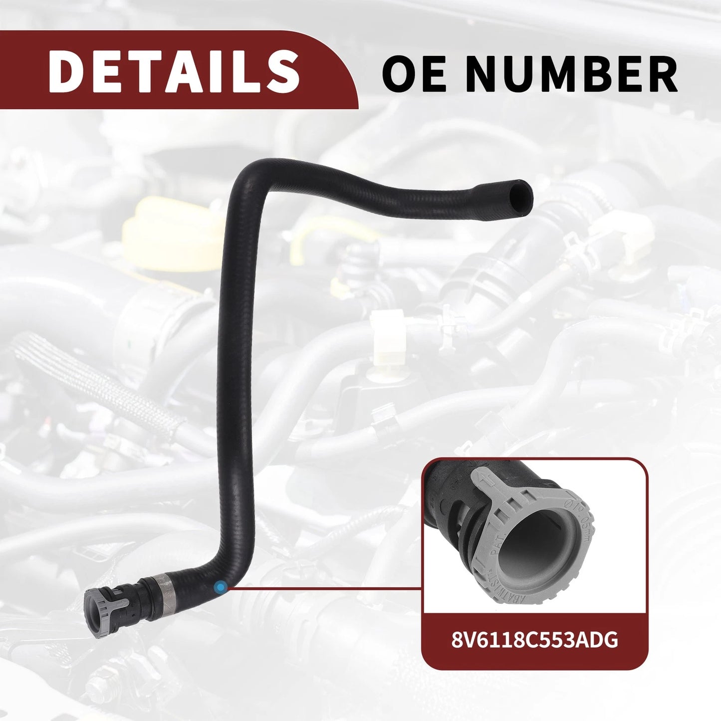 Cooling System Hose Assembly for Ford C-MAX (2010-2019)