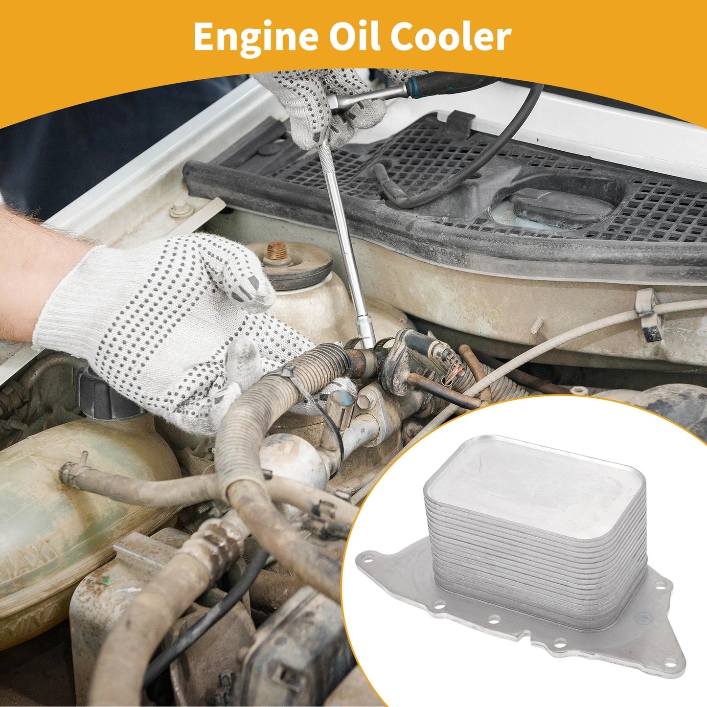 Engine Oil Cooler for BMW X1, Mini Cooper (2011-2023)