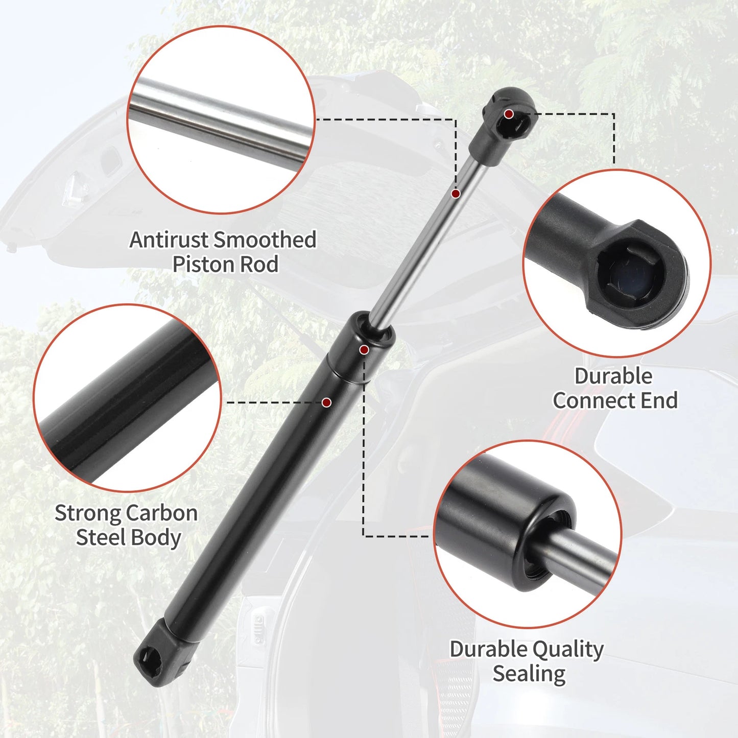 Rear Hatch Lift Supports for Infiniti G35 (2003 - 2008)