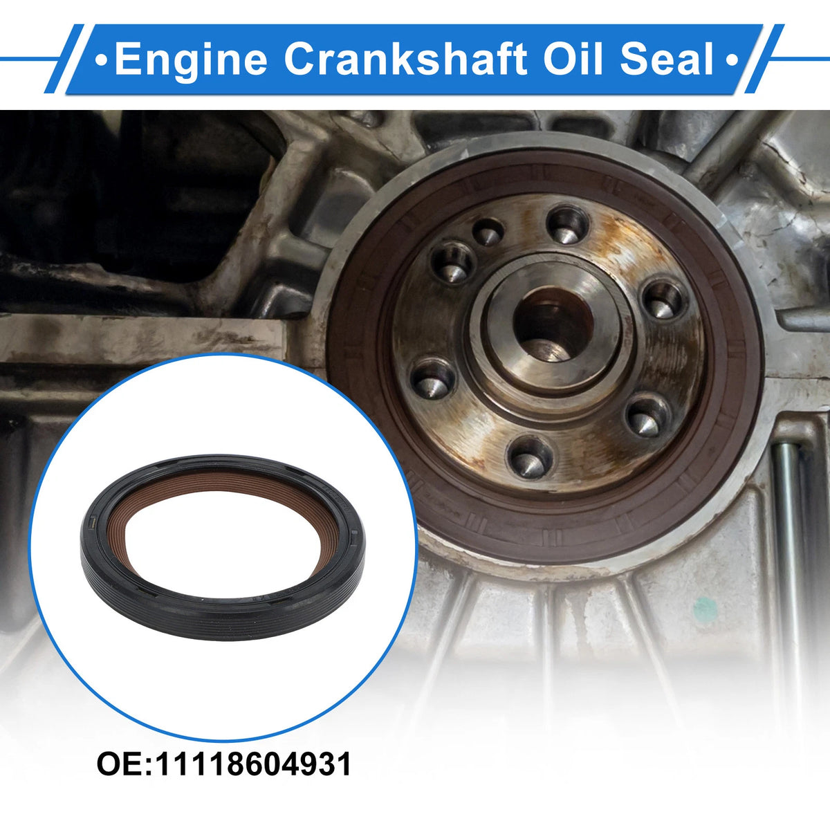 Front Crankshaft Oil Seal for BMW X3 X5 (2004-2010)