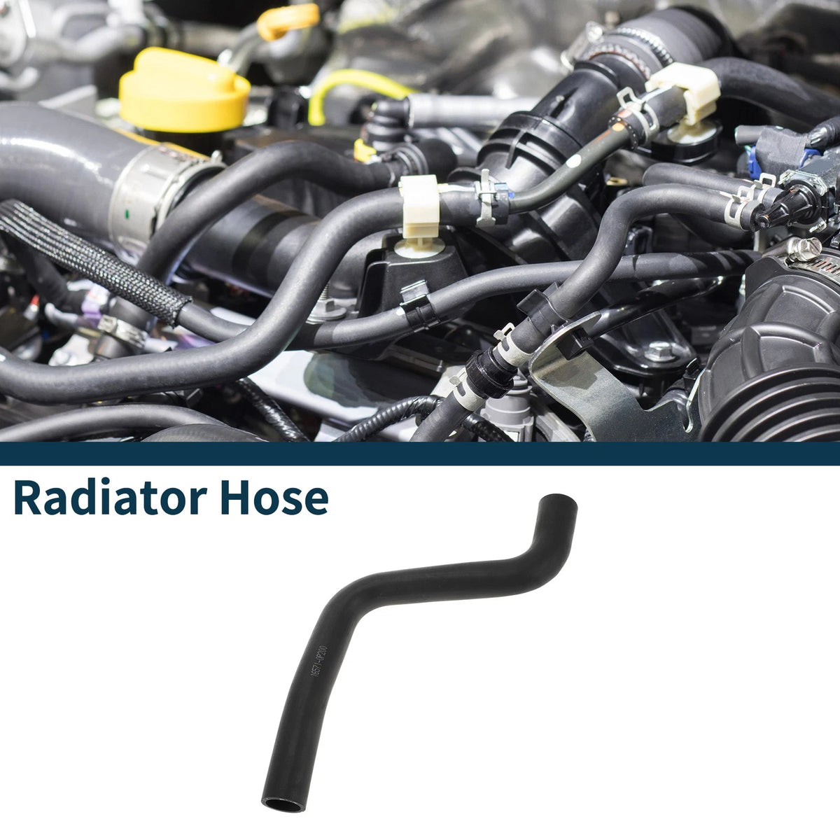 Radiator Hose for Toyota Highlander 7-Seater Elite Edition (2014-2019)