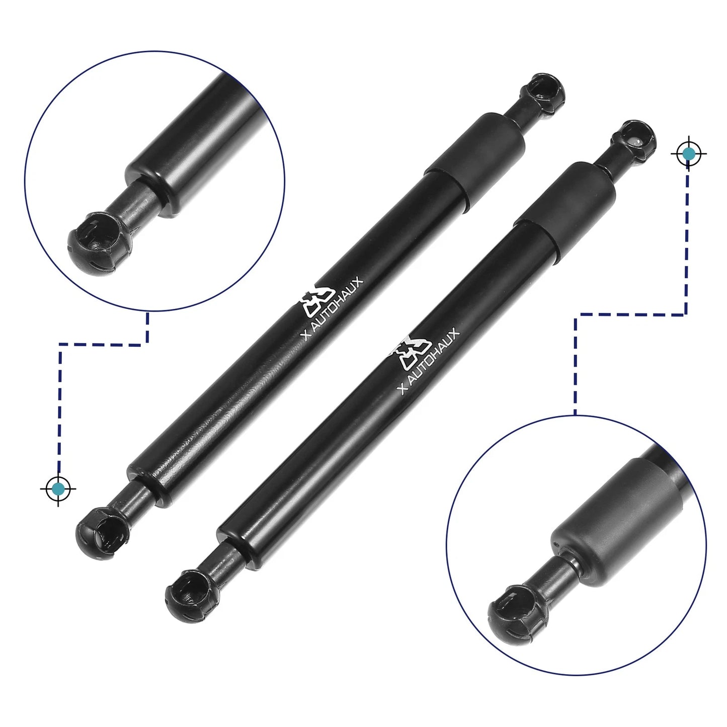 Rear Tailgate Lift Support Struts for Ford F150 (2015-2020)