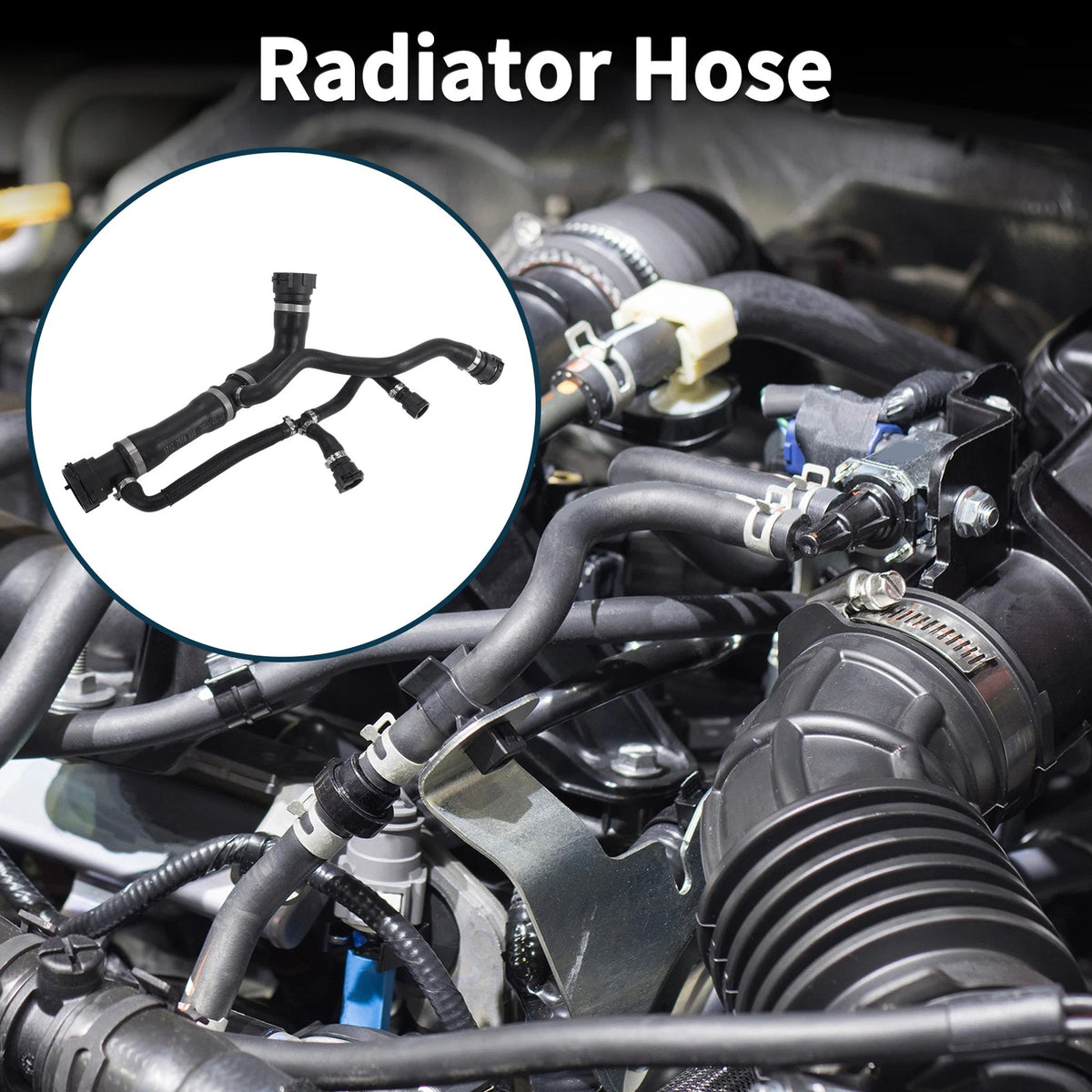 Radiator Hose for BMW 760Li E66 V12 6.0L Gas (2003-2008) Upper Hose