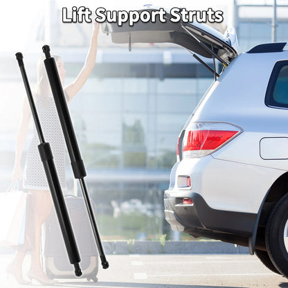 Rear Gate Lift Supports Struts for Acura TL (2009-2014)