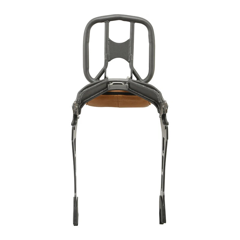 Sissy Bar Backrest Luggage Rack Quick Release for Indian Scout (2015-2024)