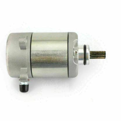 Electric Motor for Honda TRX250 FourTrax 250 (2001-2006)