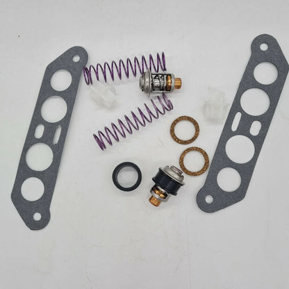 Thermostat Kit for Johnson/Evinrude 85-115HP V4