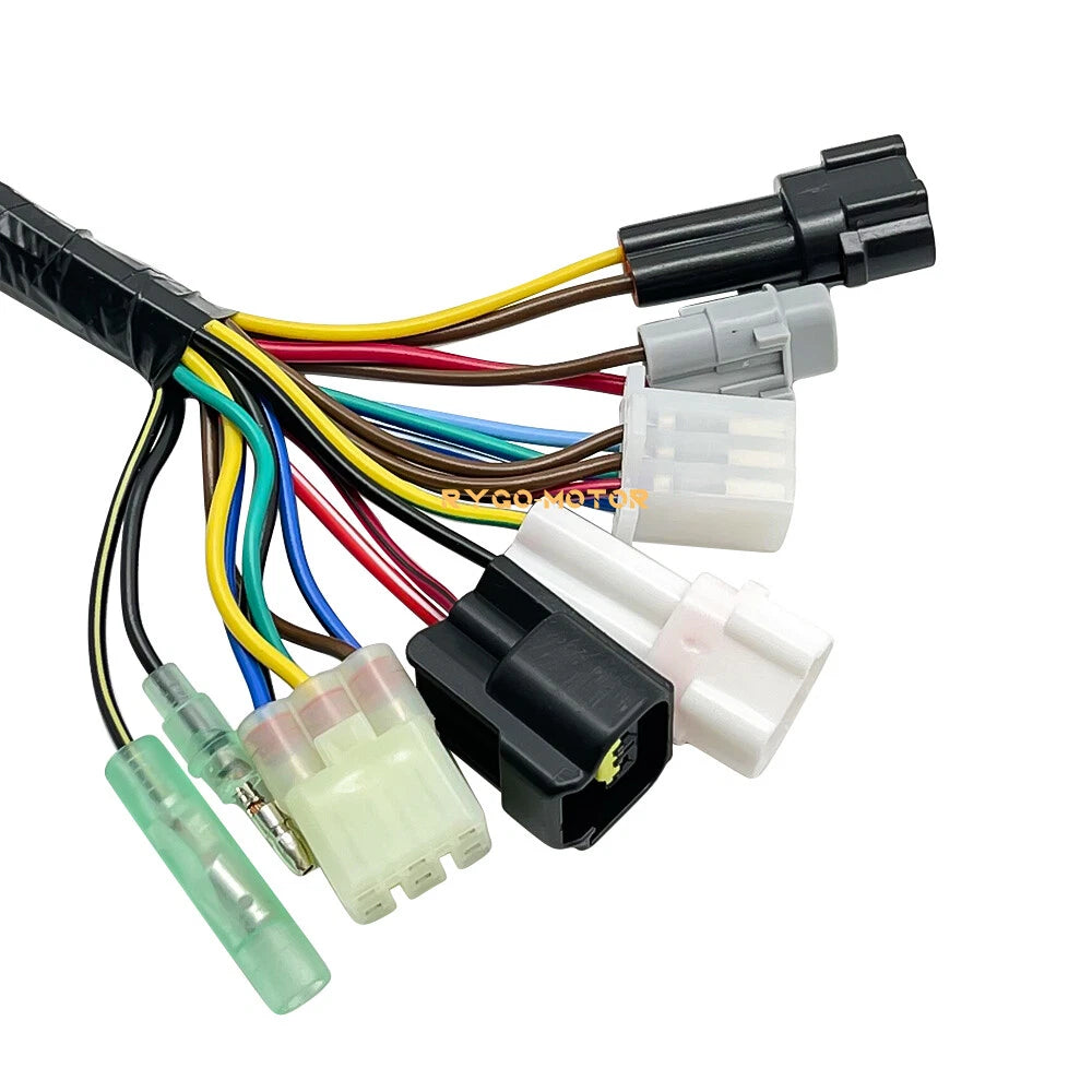 Wiring Harness for Yamaha Raptor 660 YFM660R (2002–2004)