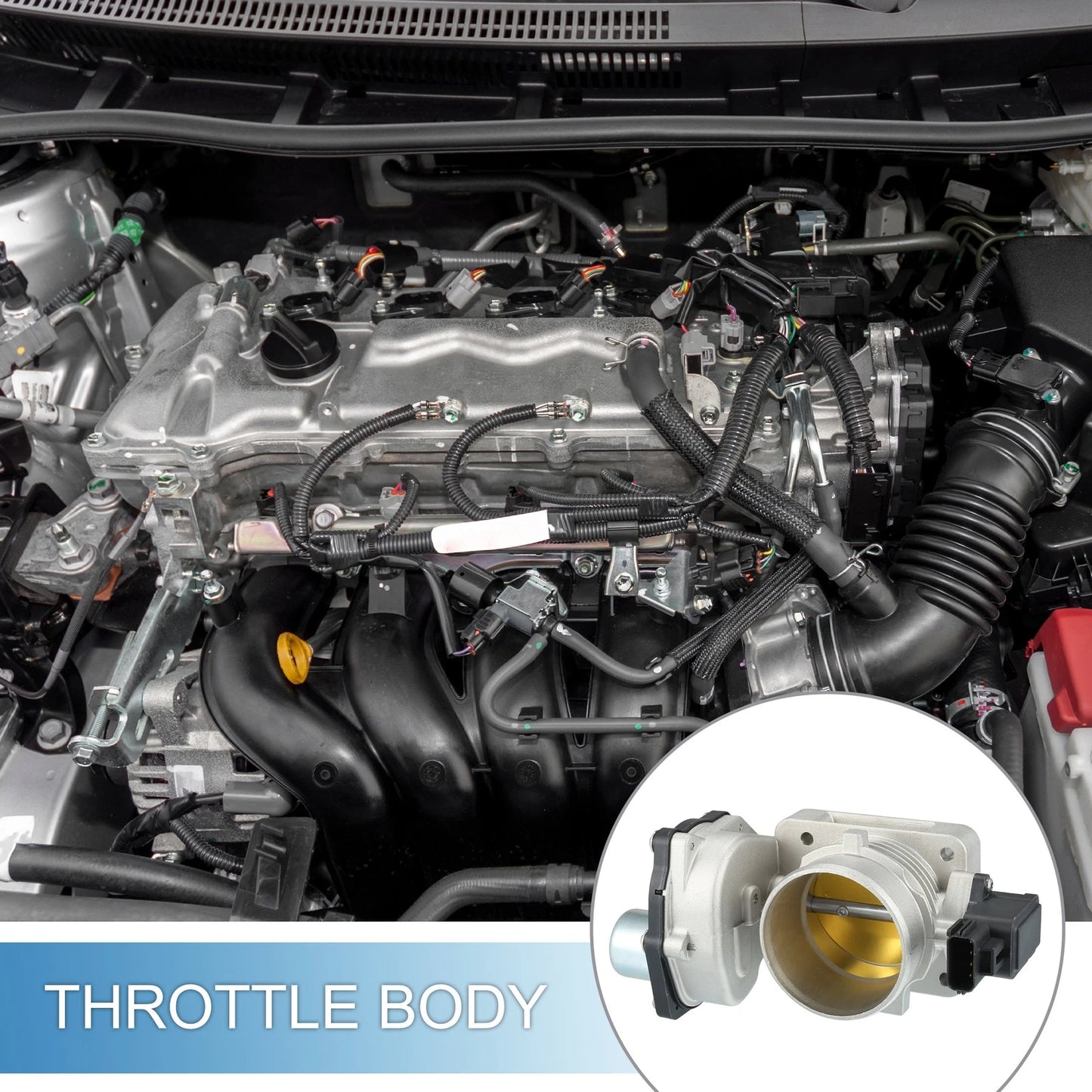 Throttle Body Actuator for Ford Crown Victoria 4.6L (2005-2011)