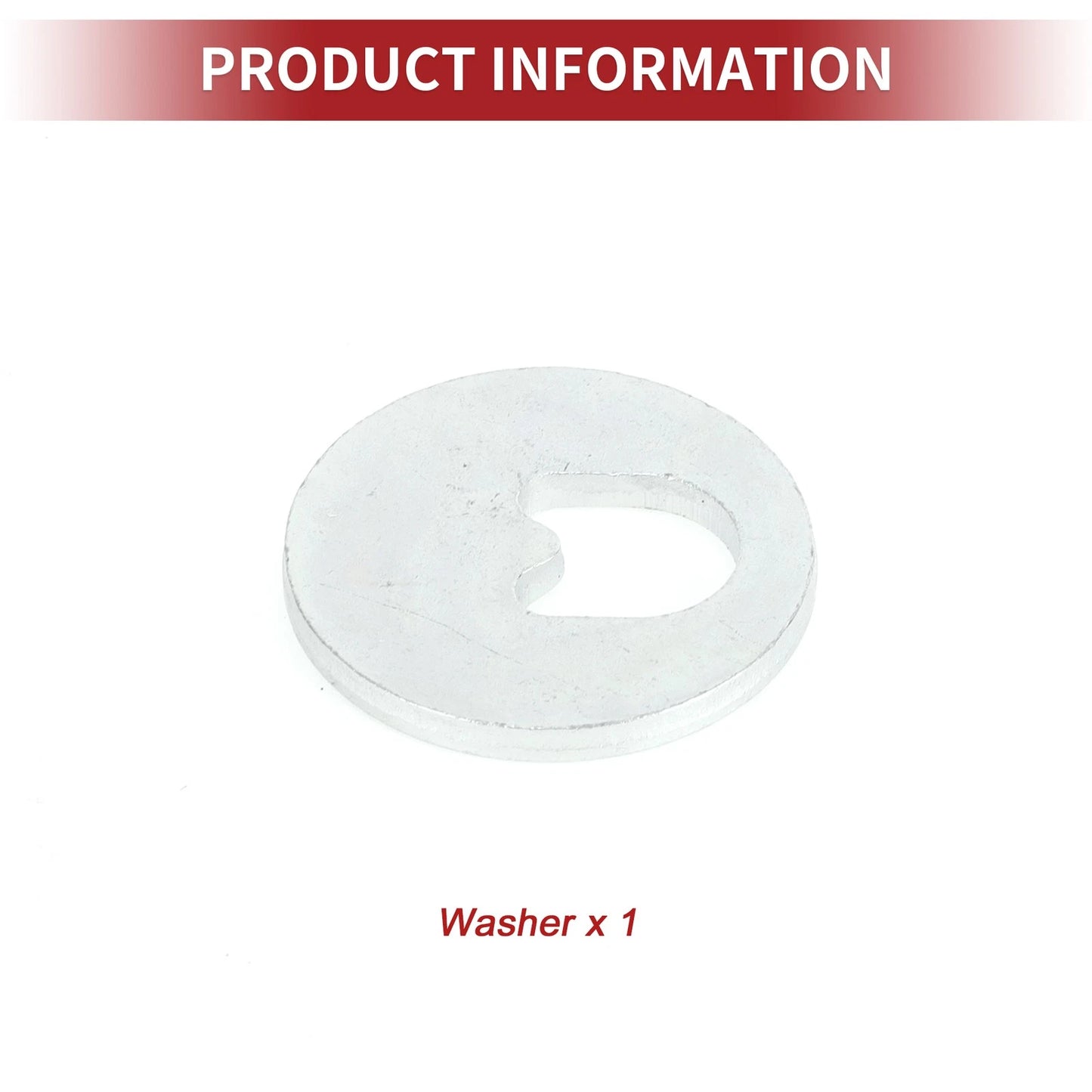 Camber Alignment Bolt Gasket for Ford Focus (1998-2007)