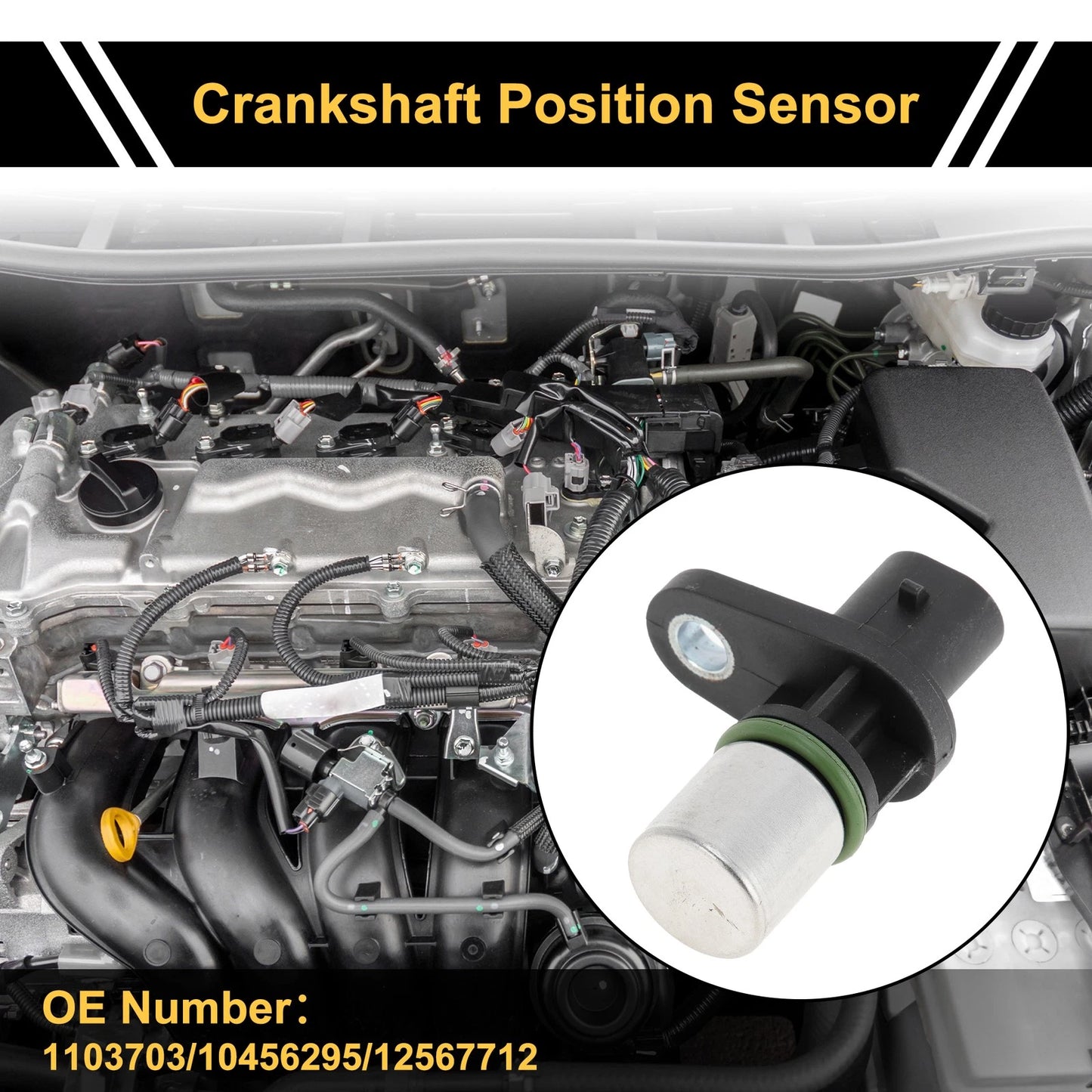 2.2L 2.4L Crankshaft Position Sensor for Chevrolet Malibu (1997-2008)