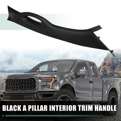 Right Passenger Side Interior Trim Handle for Ford F150 (2006-2008) Black