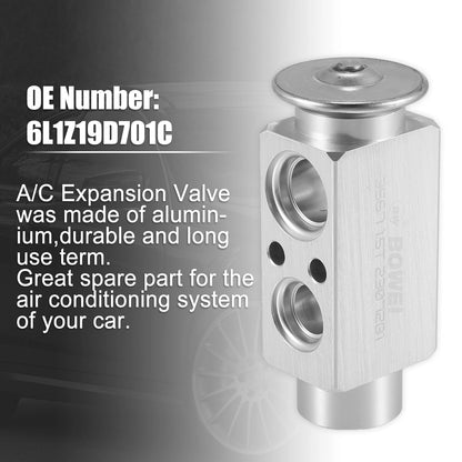 A/C Expansion Valve for Ford Flex 2009-2010 (5F9Z19849CA, 6L1Z19D701C)