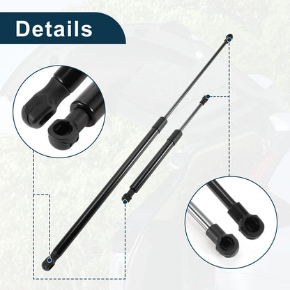 Hood & Tailgate Lift Supports Struts 2 x for BMW Z4 (2003-2008)