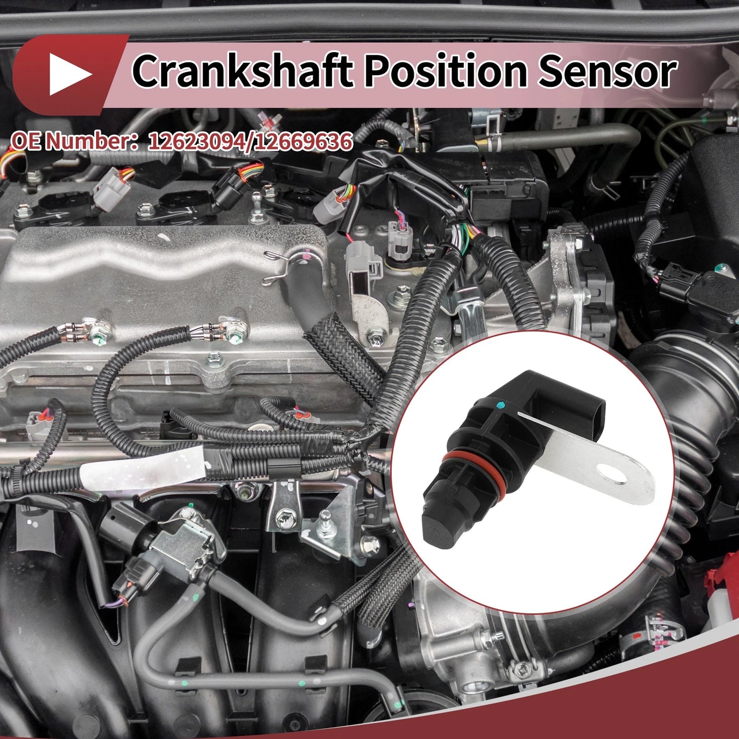 Crankshaft Position Sensor for Chevrolet Corvette C7 (2014-2019)