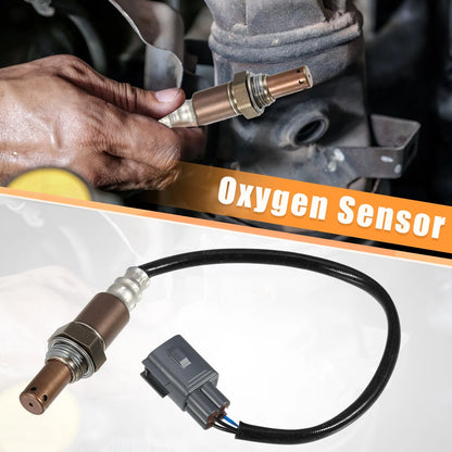 Downstream Oxygen Sensor for Toyota Tacoma (2005–2005)