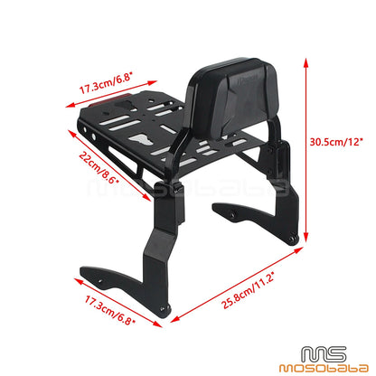 Low Profile Sissy Bar Kit for Harley Street Glide ST FLHXST (2022-2023)