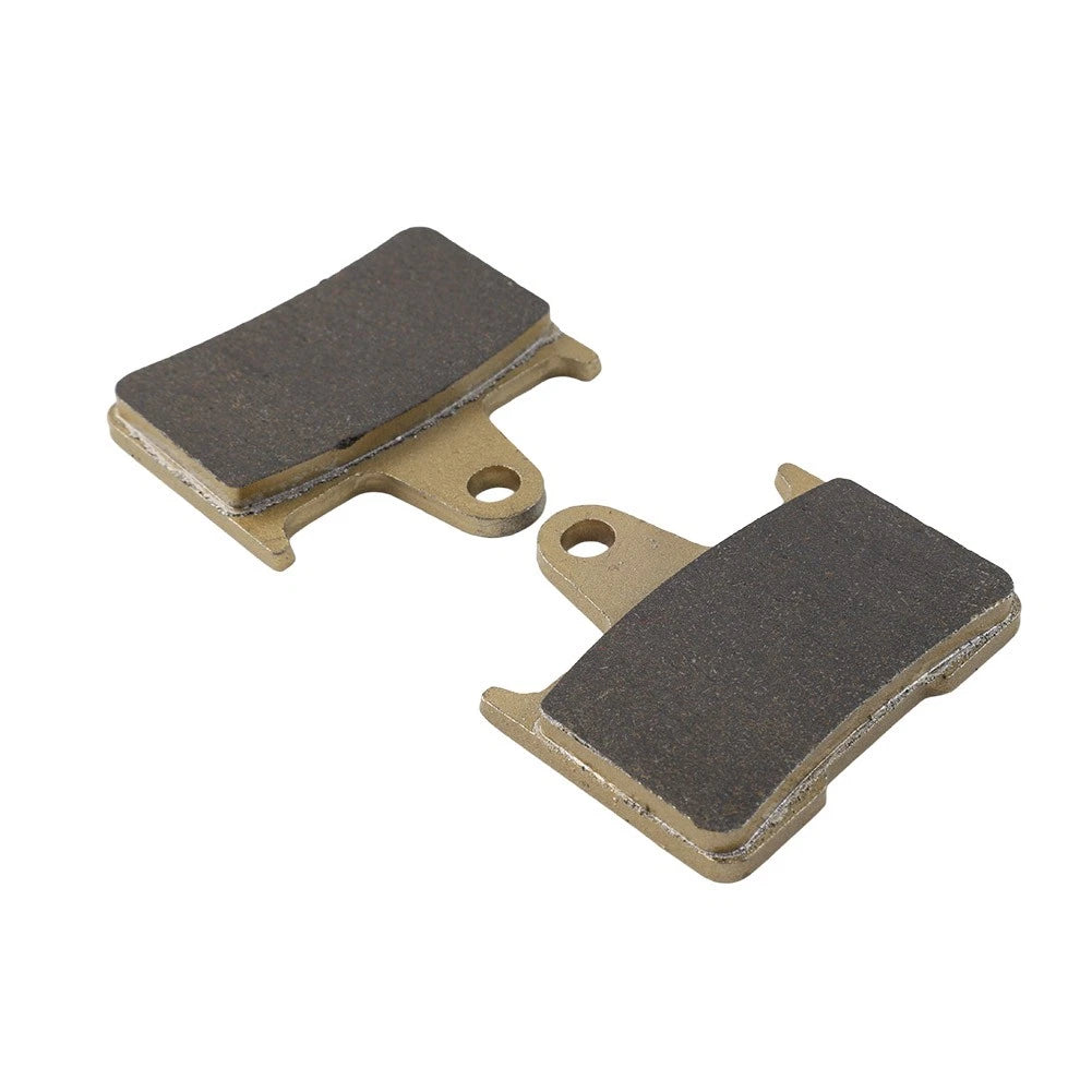 Rear Brake Pads for SUZUKI GSXR 1000 & KAWASAKI ZZR 1400 (2001-2006)