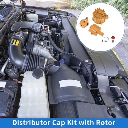 Distributor Cap Kit for Chevy GM SBC BBC 305 327 350 396 454 Orange Rotor