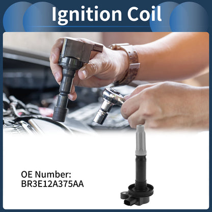 Ignition Coil Pack for Ford F-150, Mustang (2004-2014)
