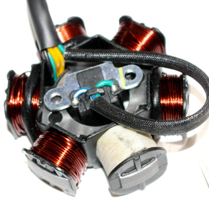 Magneto Stator Plate for Zongshen 190cc ZS190 Dirt Bike
