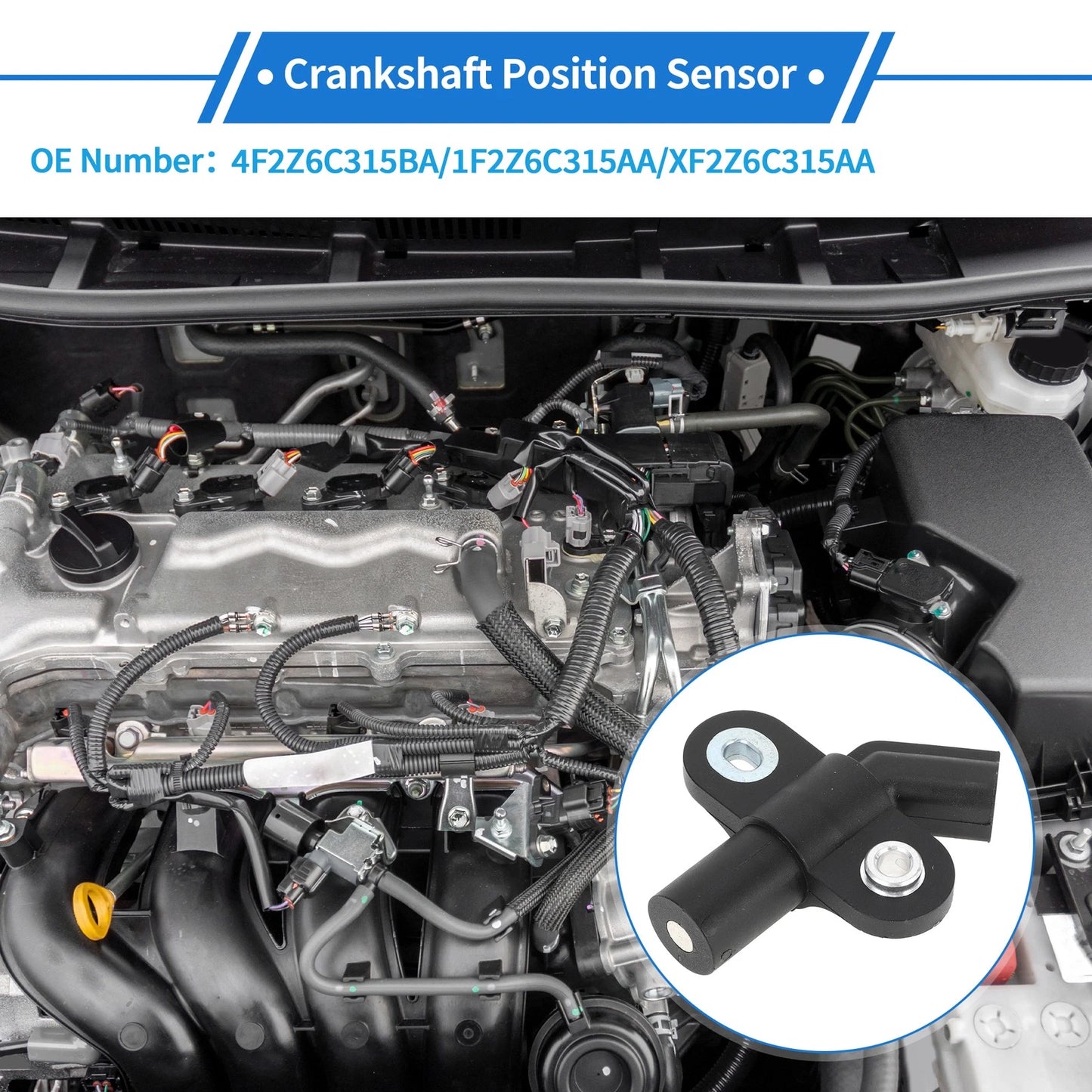 Crankshaft Position Sensor for Ford F-150 4.2L 1997-2008