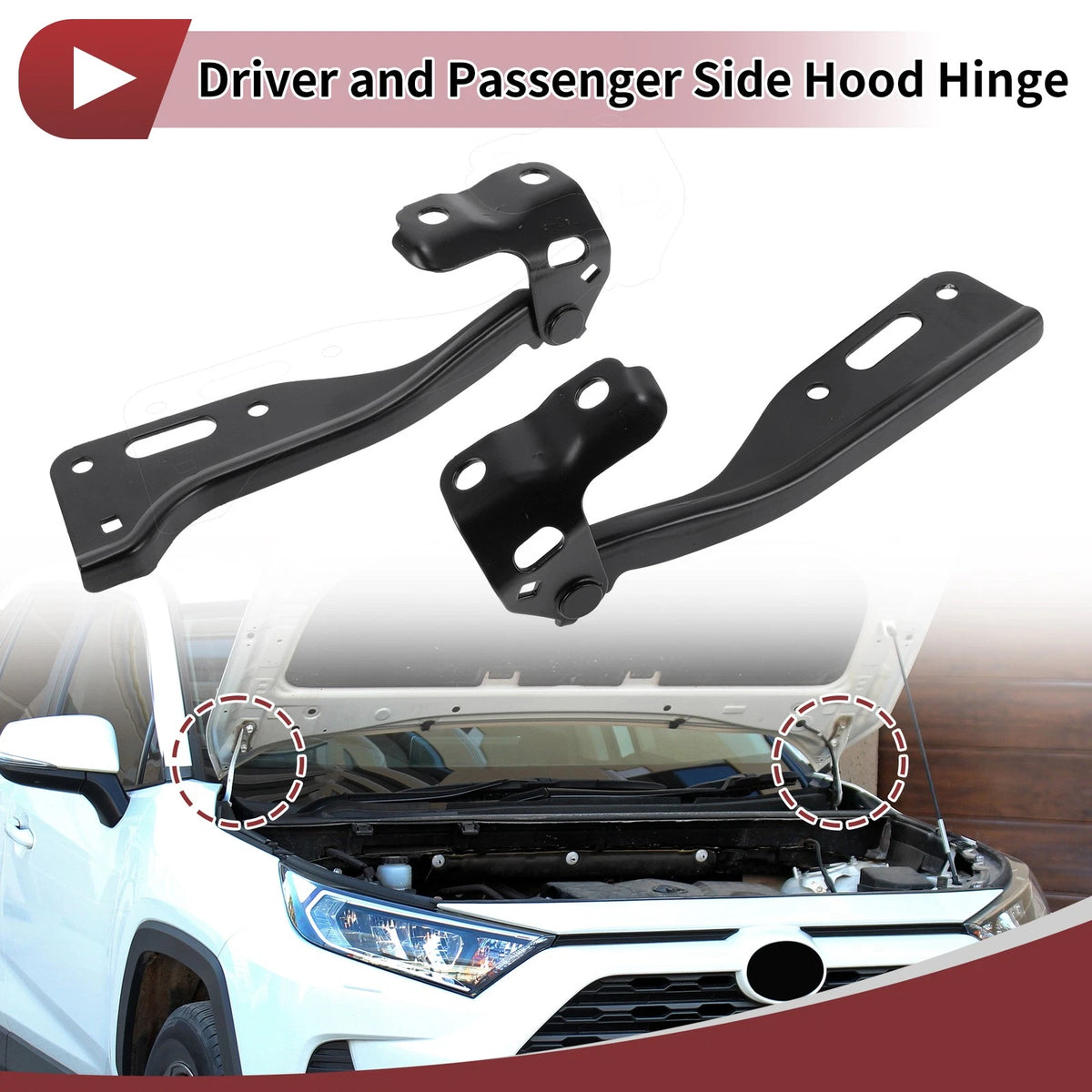 Hood Hinges 1 Pair for Honda Accord, Crosstour (2008-2012)