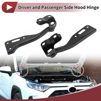 Hood Hinges 1 Pair for Honda Accord, Crosstour (2008-2012)