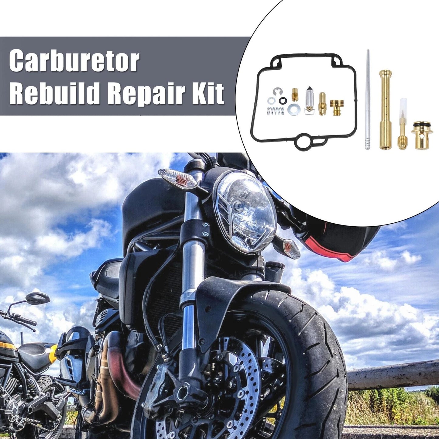 Motorcycle Carburetor Repair Rebuild for Suzuki DR650SE (1996–2009)