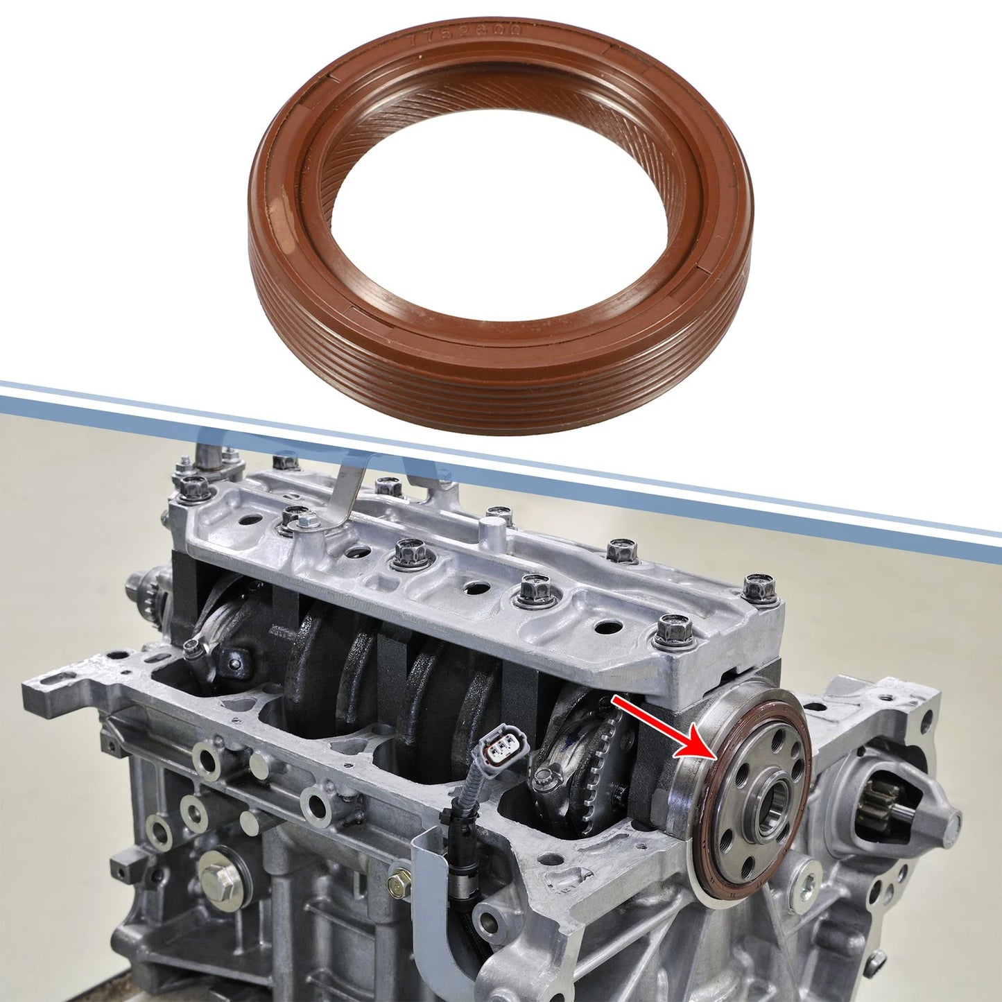 Crankshaft Oil Seal for Toyota RAV4, Scion (1996-2004)