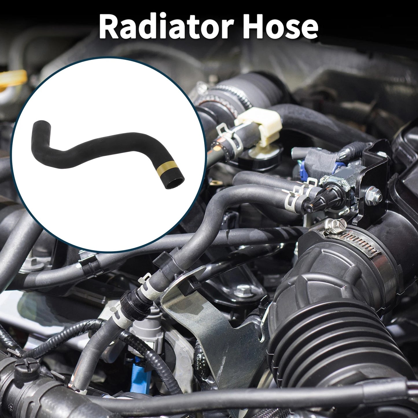 Radiator Hose for Toyota Levin 2017 (2017)