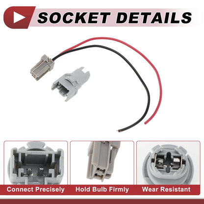 Backup Reverse Light Socket Wiring for Honda Accord (1998-2019)