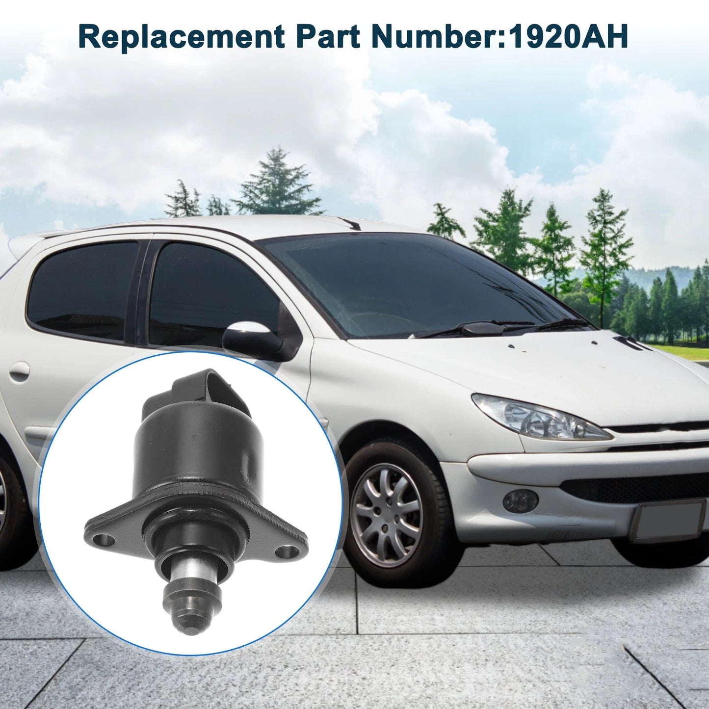Idle Air Control Valve for Peugeot 206 (2000-2009)