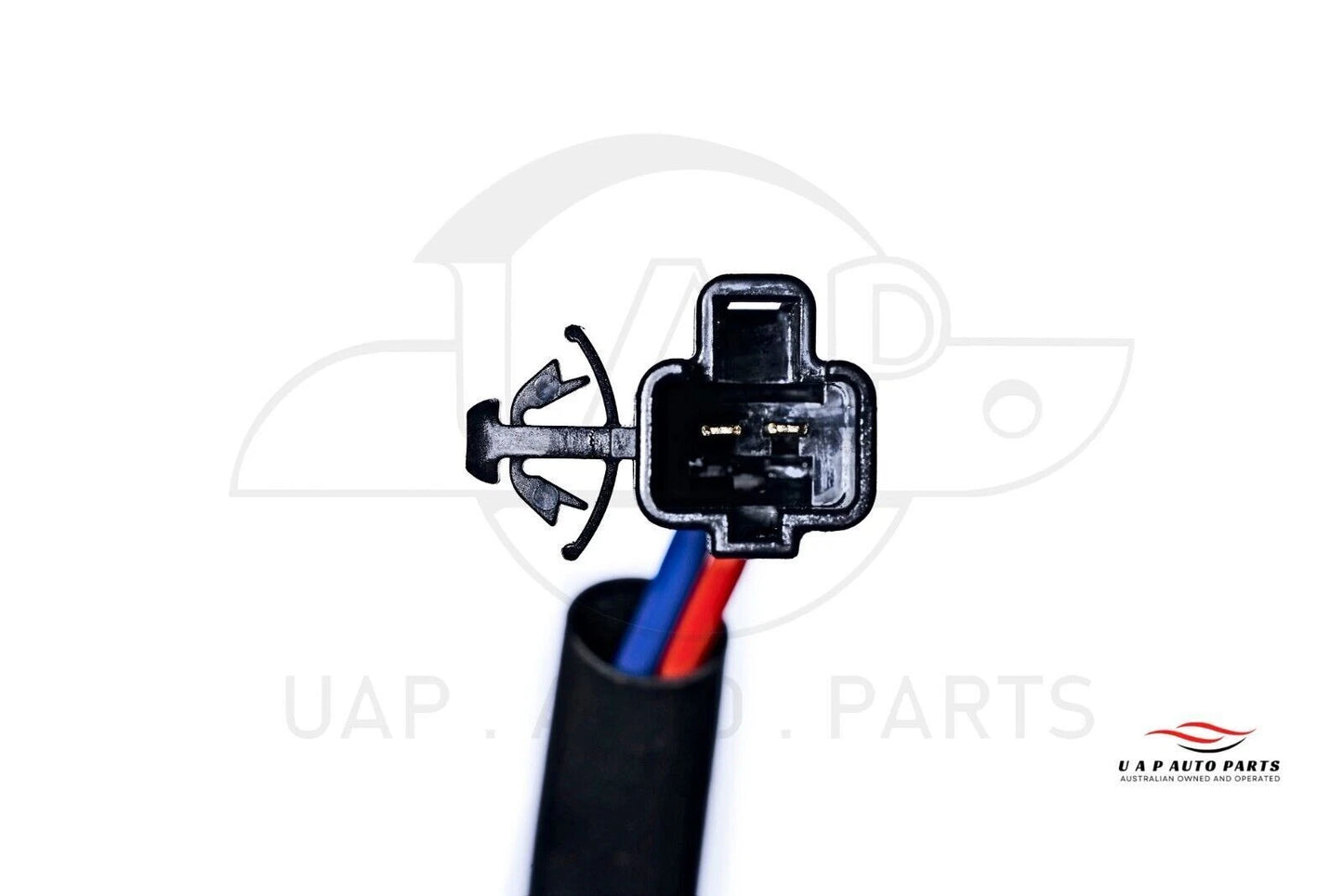 Front Right Window Regulator with Motor for Toyota Avalon (2000-2005)
