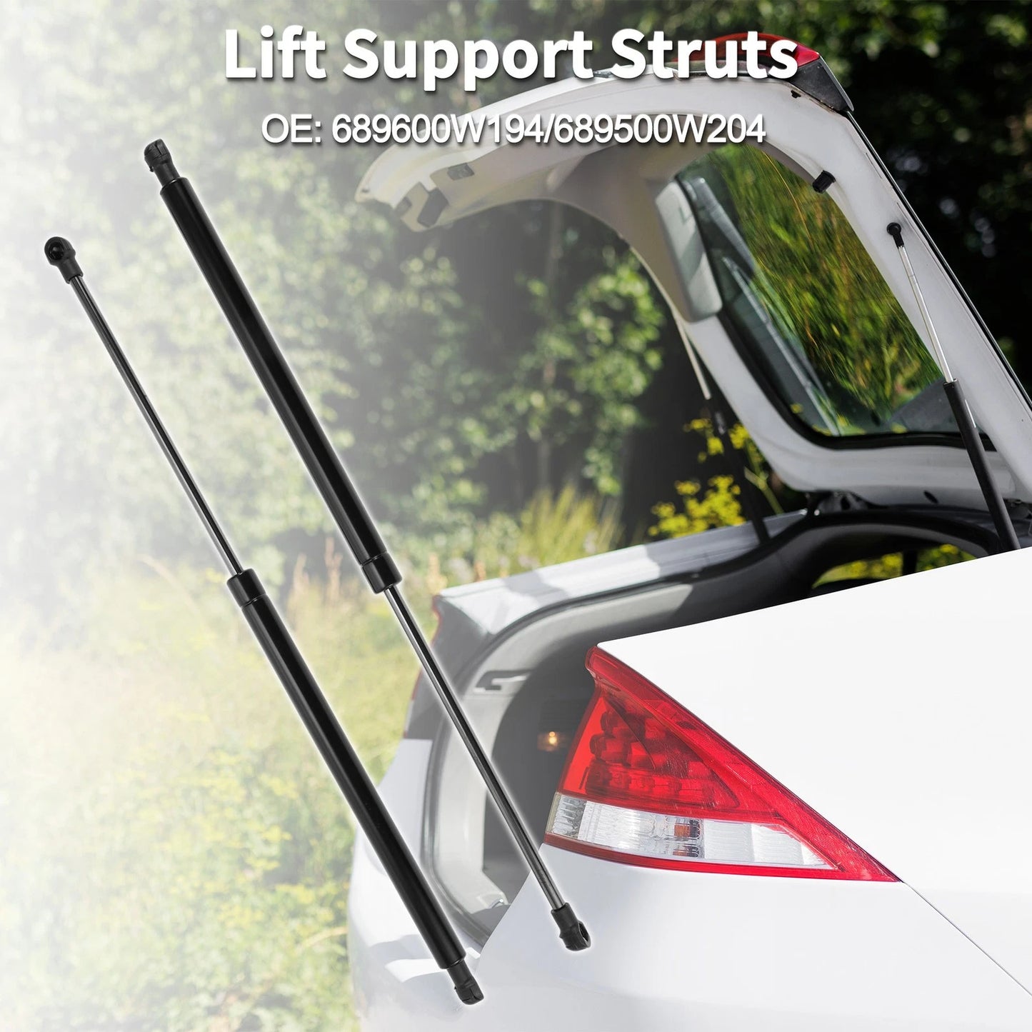 Rear Hatch Lift Supports for Toyota Prius (2001-2009)