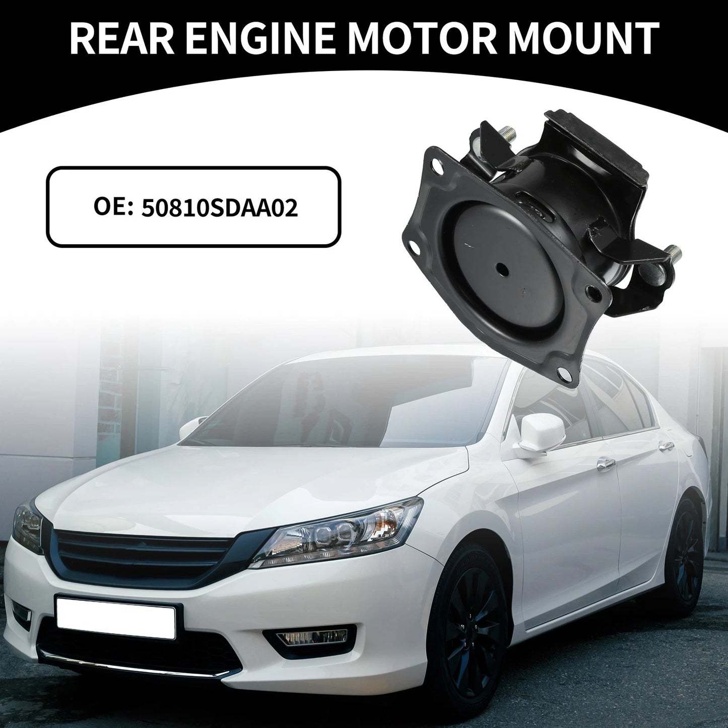 Engine Motor Mount for Honda Accord 2.4L Auto (2003-2007)