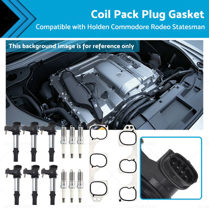 6 x Coil Pack Plugs Gaskets for Holden Calais Commodore Rodeo Statesman