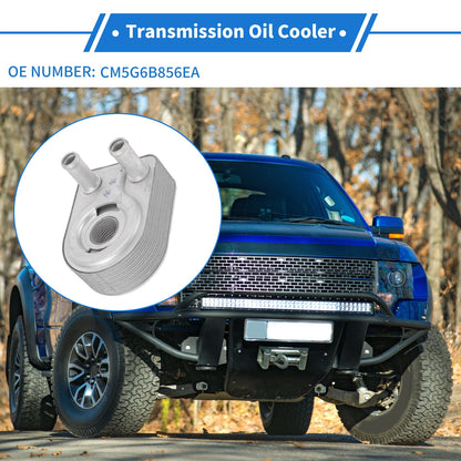 Engine Oil Cooler for Ford Fiesta, Focus (2009-2019)