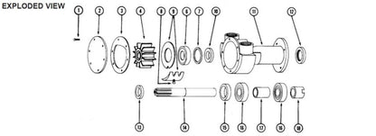 Major Repair Kit Impeller Gasket Seals Bearings Plates for Jabsco Pump