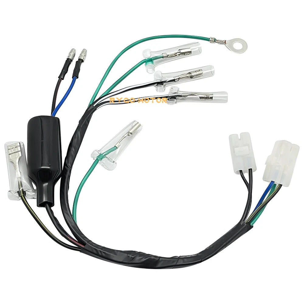 Wiring Harness for Honda CRF100F/CRF80F (2004–2009)