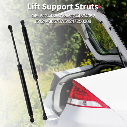 Rear Hatch Lift Supports for BMW E90 323i 325i 328i 330i 335i M3 Sedan (2006-2013)