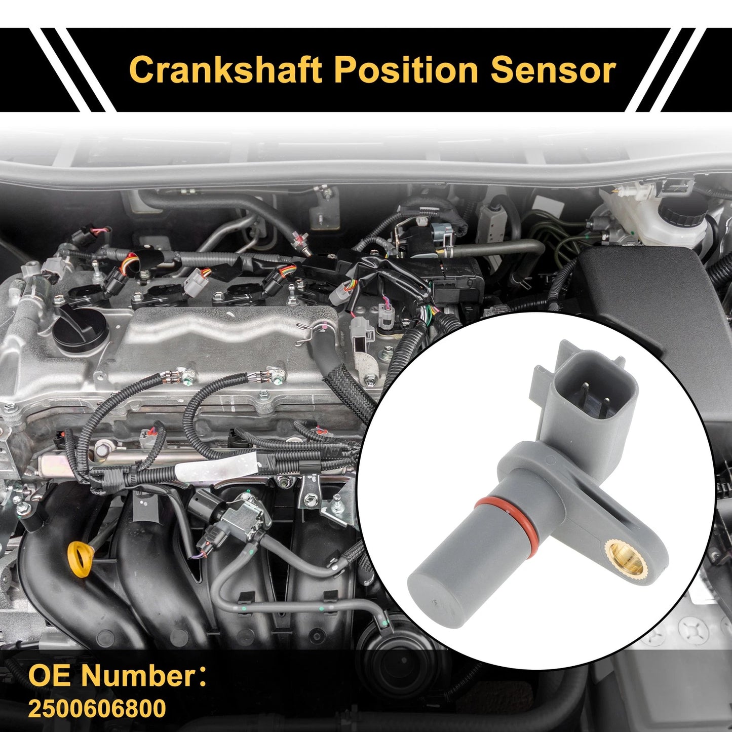 Crankshaft Position Sensor for Ford Focus (2011-2016)