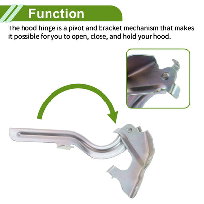Hood Hinges 1 Pair for Nissan Altima (2019-2024)