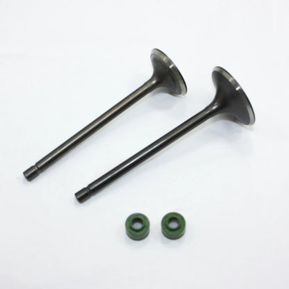 250cc Engine Head Intake Exhaust Valves for ZS CB PIT PRO TRAIL QUAD DIRT BIKE ATV