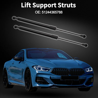 Rear Hatch Lift Supports for BMW 323i (2006-2011)