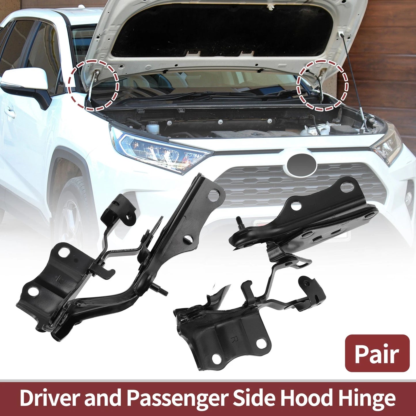 Hood Hinges 1 Pair for Lexus ES300h (2019-2022)