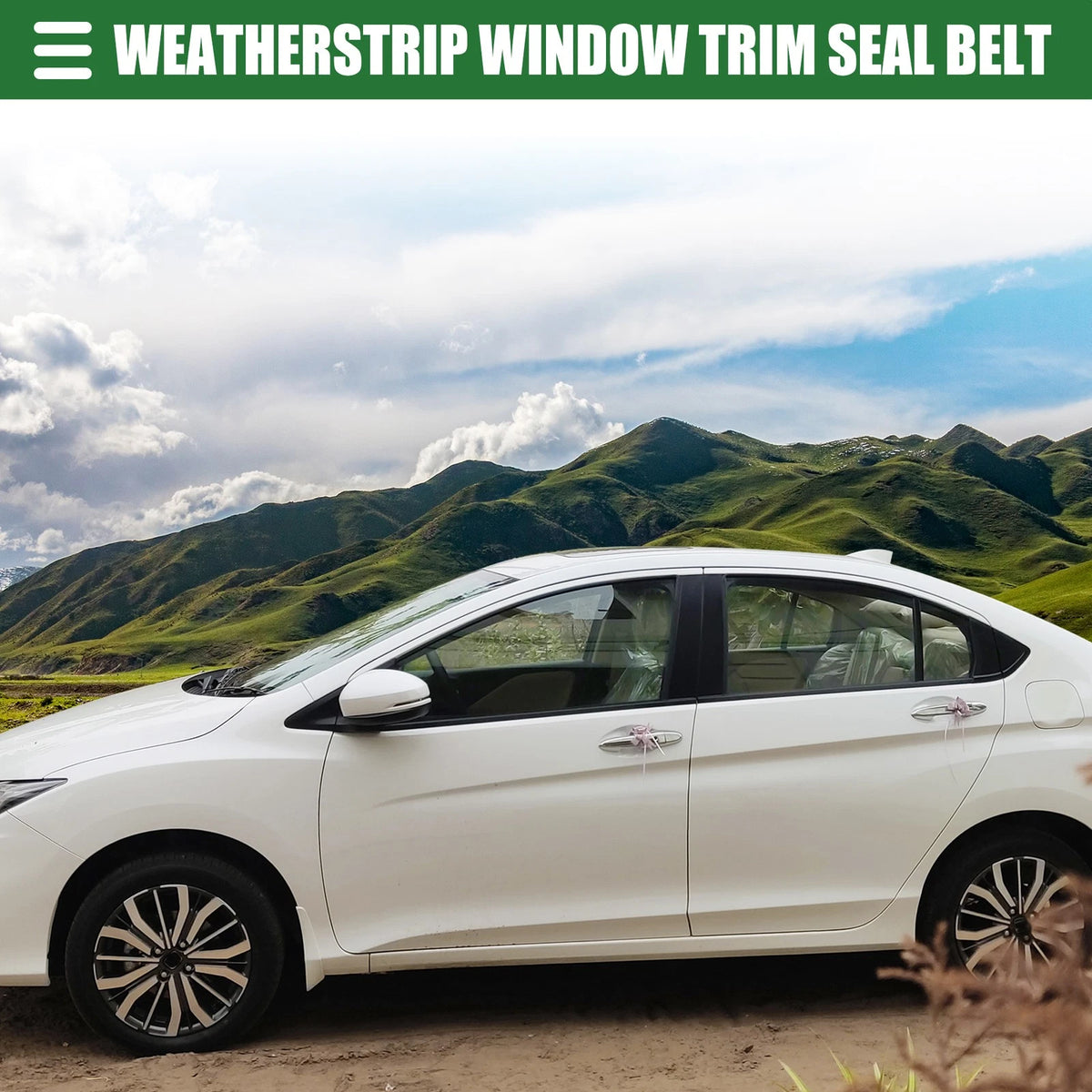 Window Weatherstrip Trim Seal Belt Kit Outer for Toyota Prius (2004-2009)