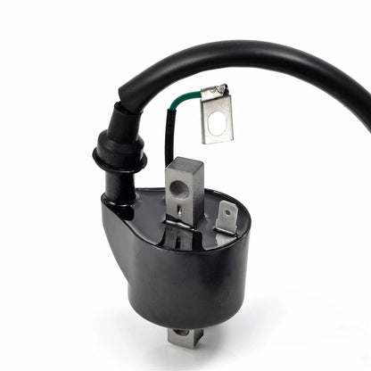 2 x Ignition Coil & Spark Plug for Polaris Magnum 425/500 Xpedition (1997–2006)