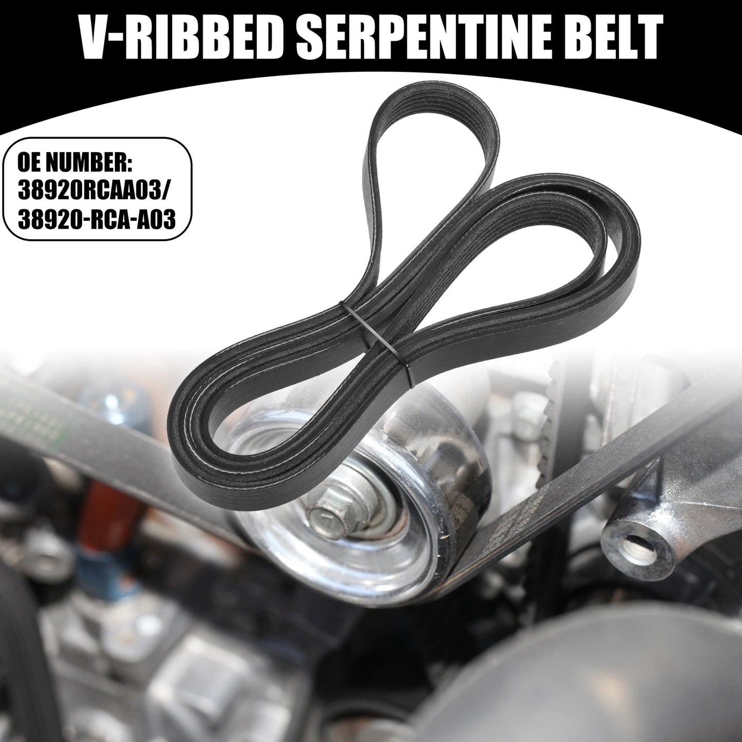 V-Ribbed Serpentine Belt for Honda Accord EX, LX 3.0L V6 (2003-2006)