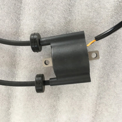 Ignition Coil for Yamaha Outboard Parsun 9.9 15HP E M 2T